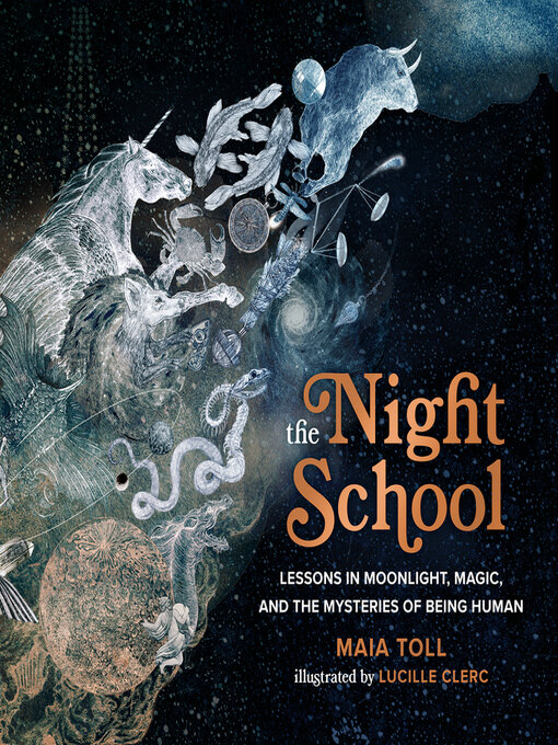 Title details for The Night School by Maia Toll - Wait list